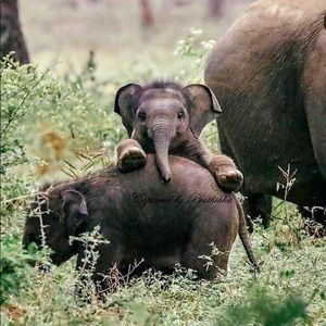 Meet your Posher, Jackie